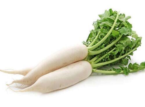 白蘿卜