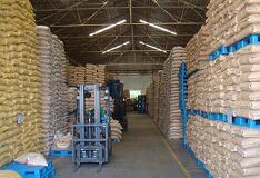 深圳大型糧食儲存庫