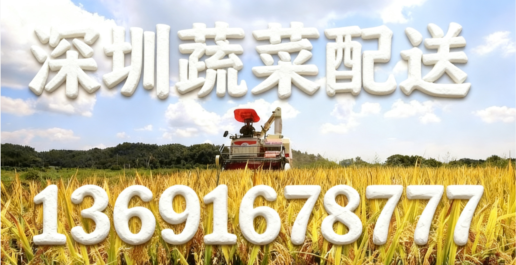 東莞蔬菜配送中心?解讀:“十五五” 怎么讓大家吃得更穩(wěn)、更優(yōu)？