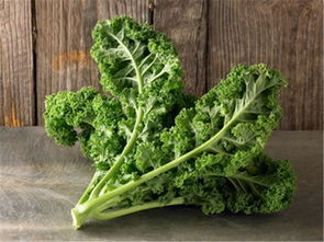 羽衣甘藍(lán)的核心營養(yǎng)與食用指南,下面讓深圳蔬菜公司來告訴您