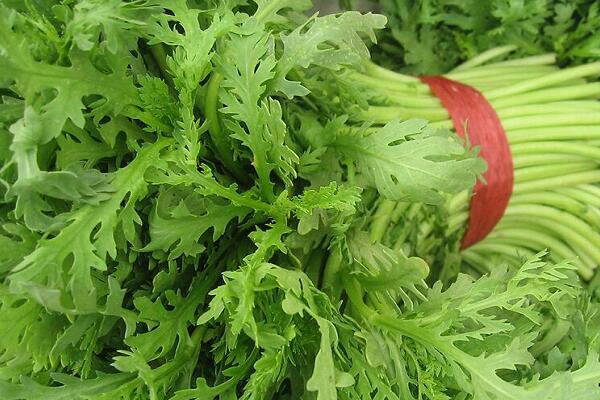 1760173819.jpg tupian_tonghao2.jpg