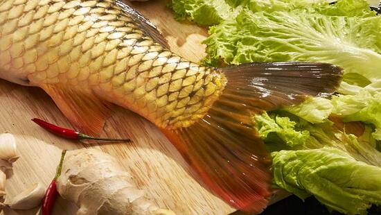 1760257035.jpg tupian_liyu2.jpg