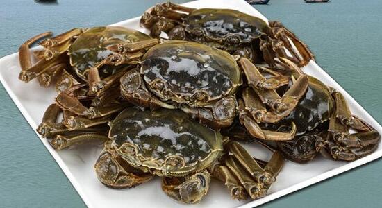 1760257512.jpg tupian_dazhaxie2.jpg