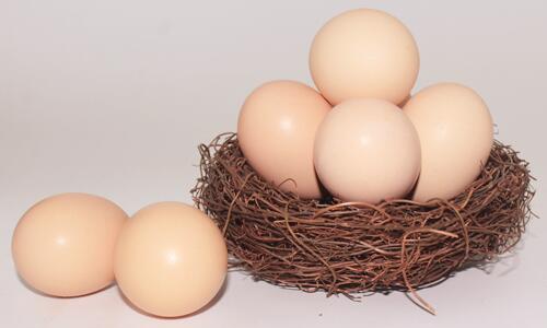 1760260461.jpg tupian_jidan3.jpg