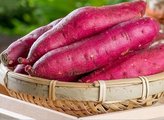 1760261288.jpg tupian_fanshu1.jpg